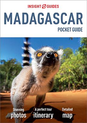 Insight Guides Pocket Madagascar (Travel Guide eBook)