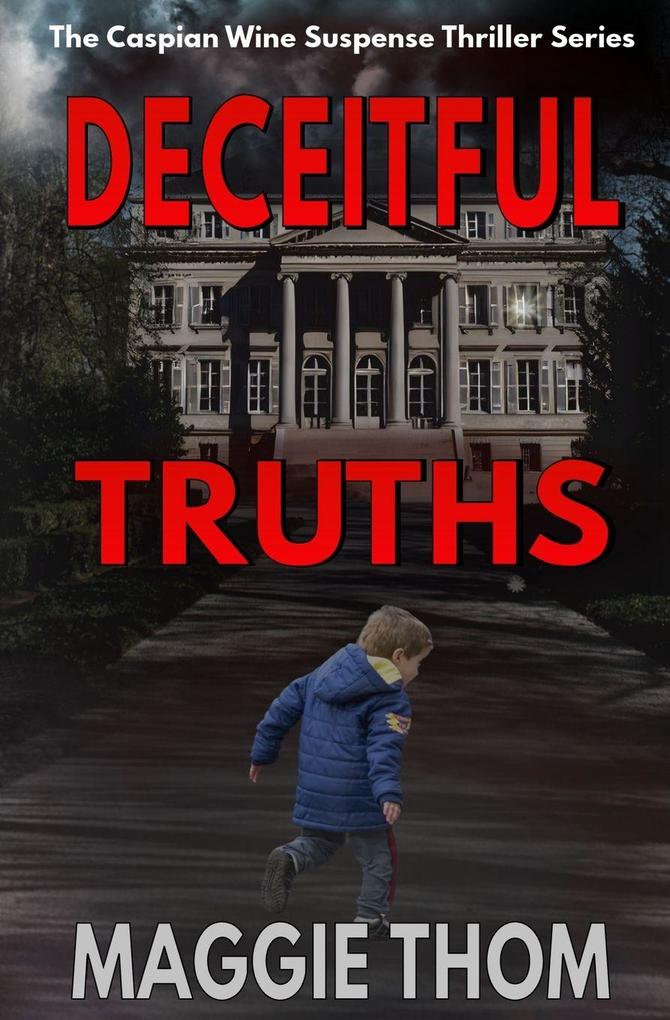 Deceitful Truths - A Cyber Crime Thriller