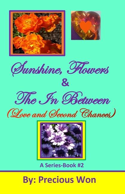 Sunshine Flowers & The In Between (Love and Second Chances)