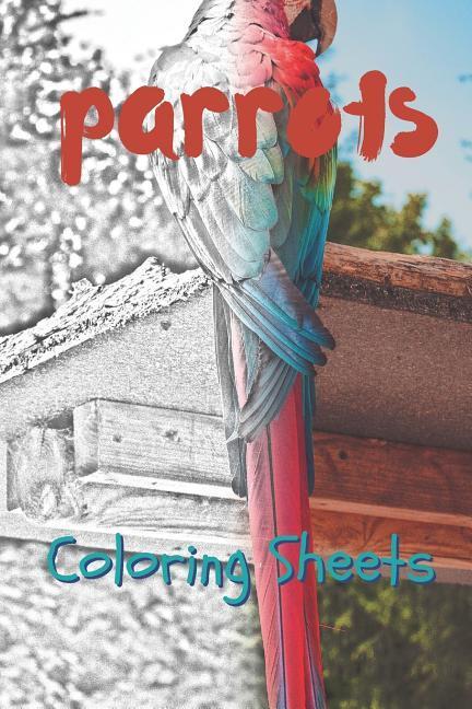 Parrot Coloring Sheets: 30 Parrot Drawings Coloring Sheets Adults Relaxation Coloring Book for Kids for Girls Volume 6