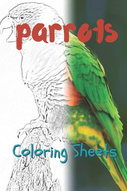 Parrot Coloring Sheets: 30 Parrot Drawings Coloring Sheets Adults Relaxation Coloring Book for Kids for Girls Volume 15