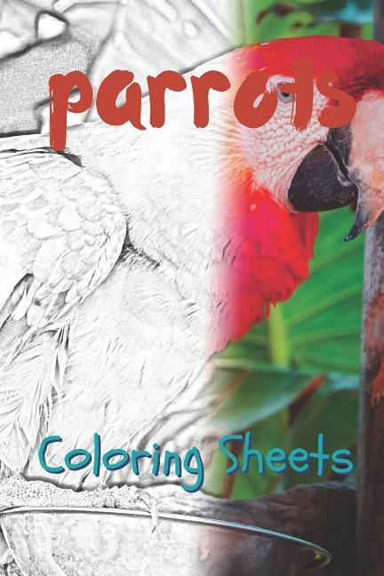 Parrot Coloring Sheets: 30 Parrot Drawings Coloring Sheets Adults Relaxation Coloring Book for Kids for Girls Volume 3