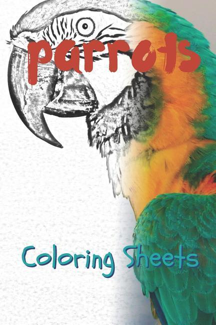 Parrot Coloring Sheets: 30 Parrot Drawings Coloring Sheets Adults Relaxation Coloring Book for Kids for Girls Volume 8