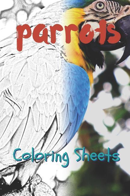 Parrot Coloring Sheets: 30 Parrot Drawings Coloring Sheets Adults Relaxation Coloring Book for Kids for Girls Volume 13