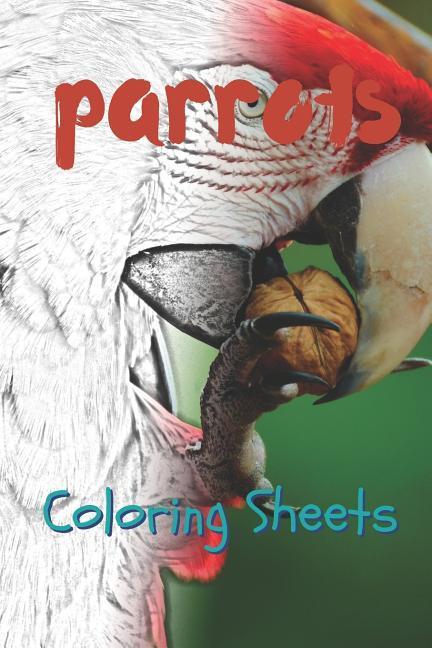 Parrot Coloring Sheets: 30 Parrot Drawings Coloring Sheets Adults Relaxation Coloring Book for Kids for Girls Volume 12