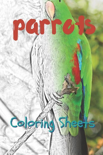 Parrot Coloring Sheets: 30 Parrot Drawings Coloring Sheets Adults Relaxation Coloring Book for Kids for Girls Volume 2