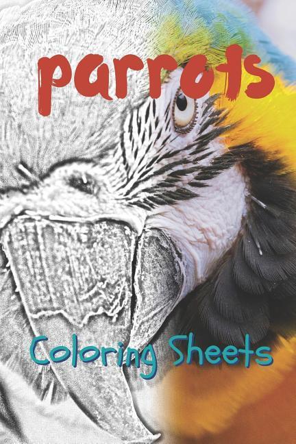 Parrot Coloring Sheets: 30 Parrot Drawings Coloring Sheets Adults Relaxation Coloring Book for Kids for Girls Volume 7