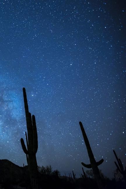 Milky Way with Cactus: The Milky Way Is the Galaxy That Contains Our Solar System. the Name Describes the Appearance from Earth: A Hazy Band