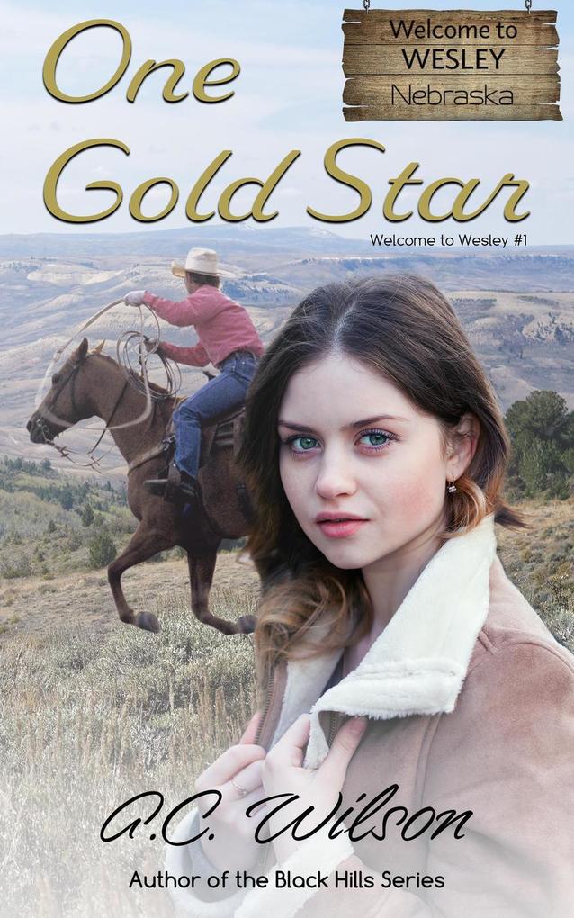 One Gold Star (Welcome To Wesley #1)