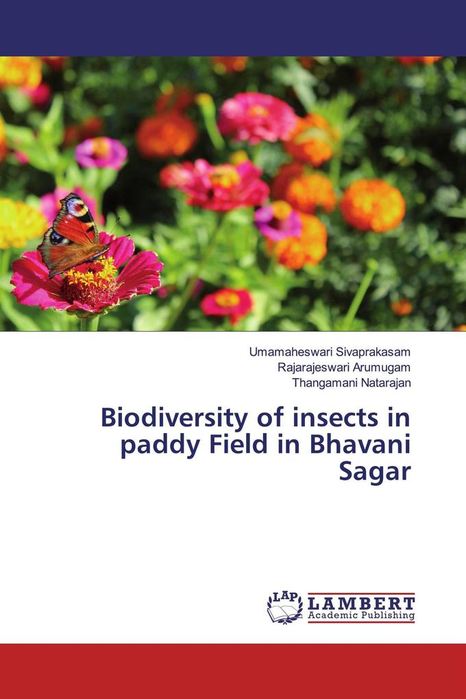 Biodiversity of insects in paddy Field in Bhavani Sagar