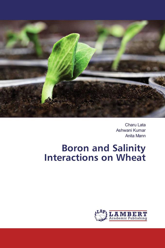 Boron and Salinity Interactions on Wheat