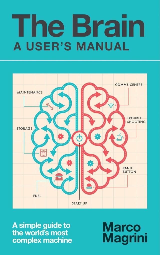 The Brain: A User‘s Manual