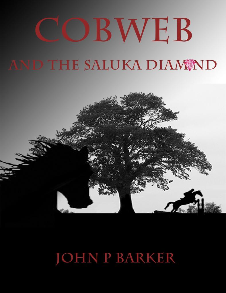 Cobweb And The Saluka Diamond (Cobweb The Ghost Horse #2)