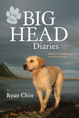 The Big Head Diaries Volume 1