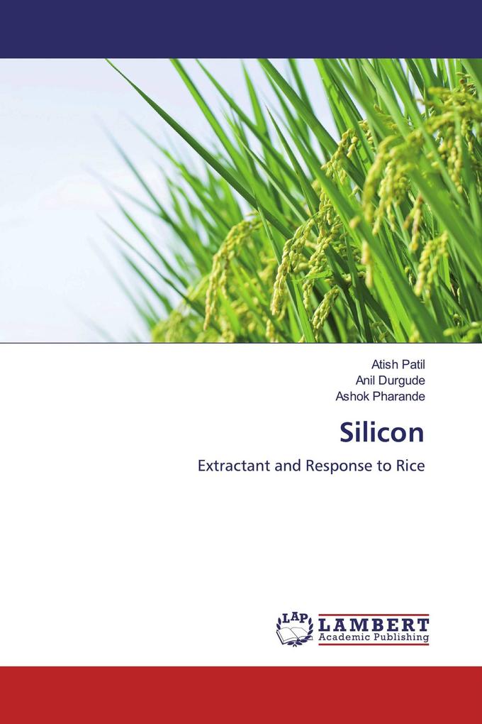 Silicon
