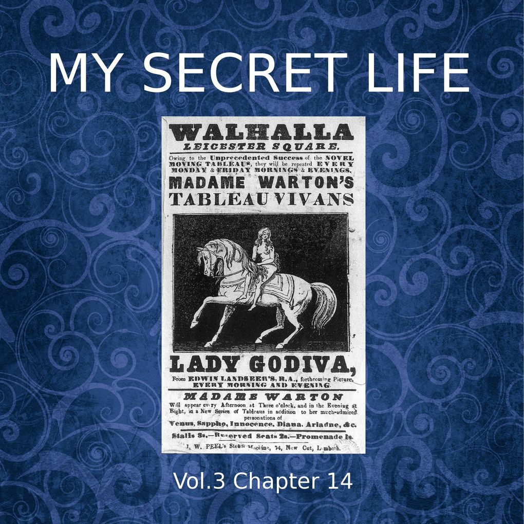 My Secret Life Vol. 3 Chapter 14