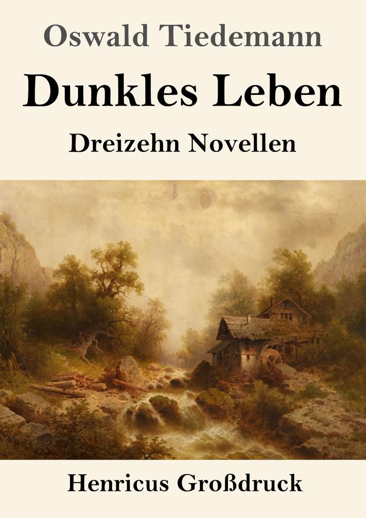 Image of Dunkles Leben (Großdruck)