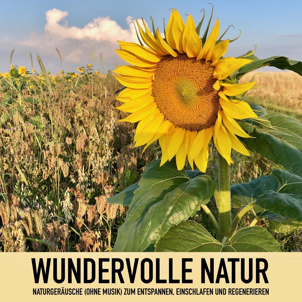 Wundervolle Natur: Naturgeräusche (ohne Musik) zum Entspannen Regenerieren und Einschlafen