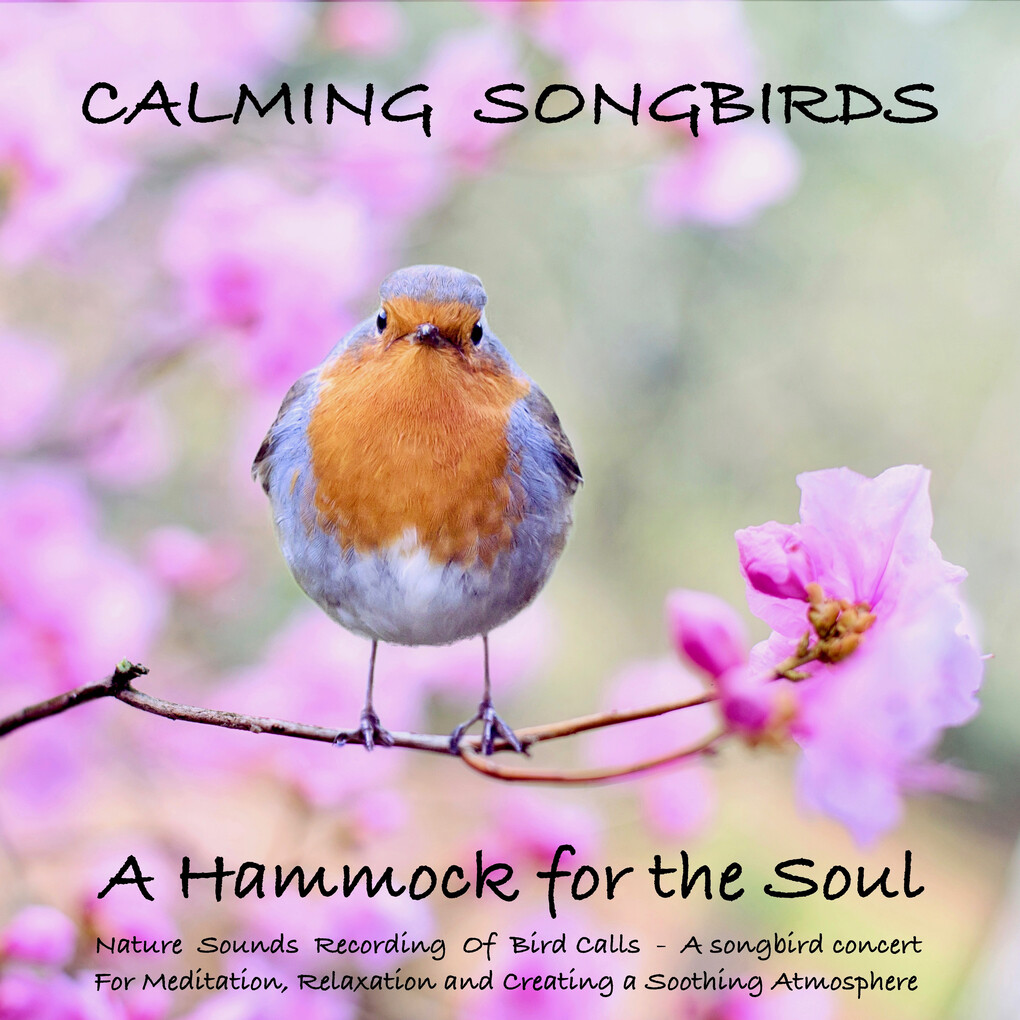 Calming Songbirds: Nature Sounds Recording Of Bird Calls - A songbird concert for Meditation Relaxation and Creating a Soothing Atmosphere
