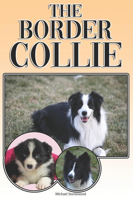 The Border Collie: A Complete and Comprehensive Owners Guide To: Buying Owning Health Grooming Training Obedience Understanding and - Michael Stonewood