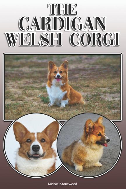 The Cardigan Welsh Corgi: A Complete and Comprehensive Owners Guide To: Buying Owning Health Grooming Training Obedience Understanding and