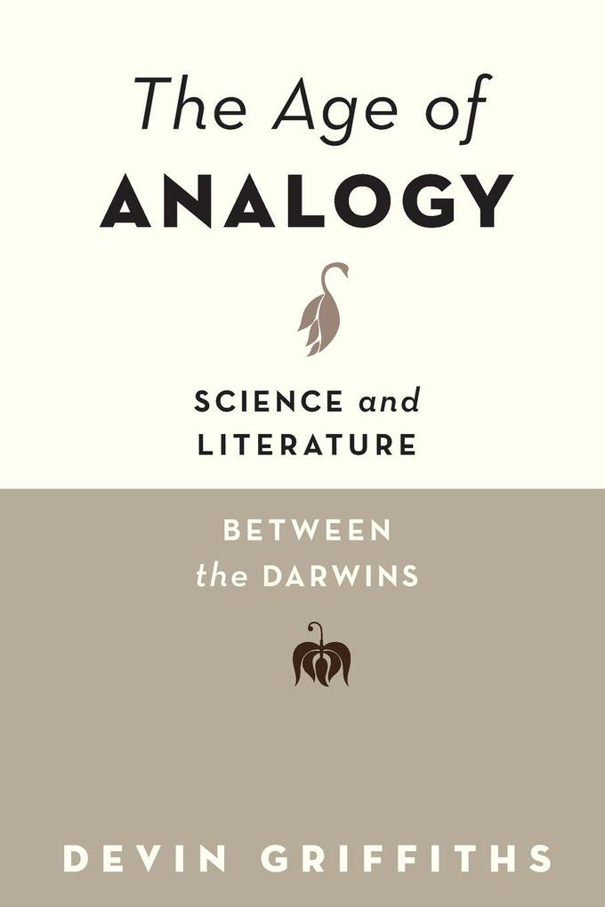 Age of Analogy