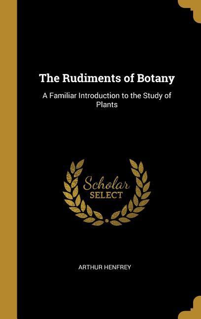 The Rudiments of Botany