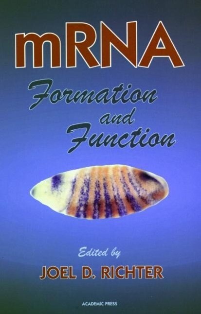 Mrna Formation and Function