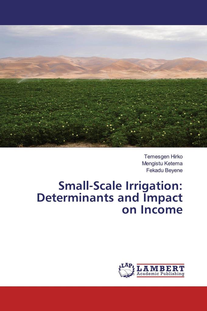 Small-Scale Irrigation: Determinants and Impact on Income
