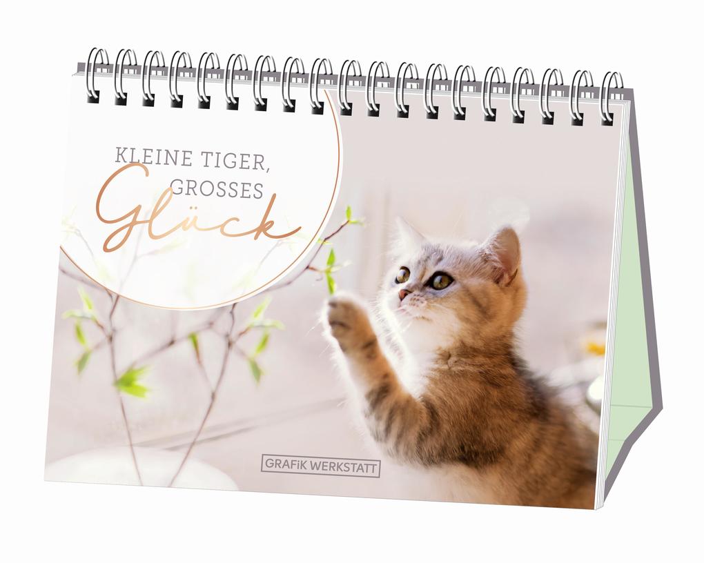 Kleine Tiger großes Glück!