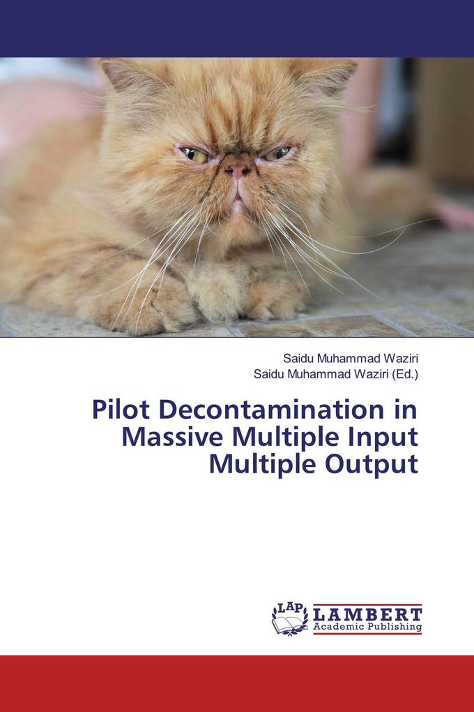 Pilot Decontamination in Massive Multiple Input Multiple Output