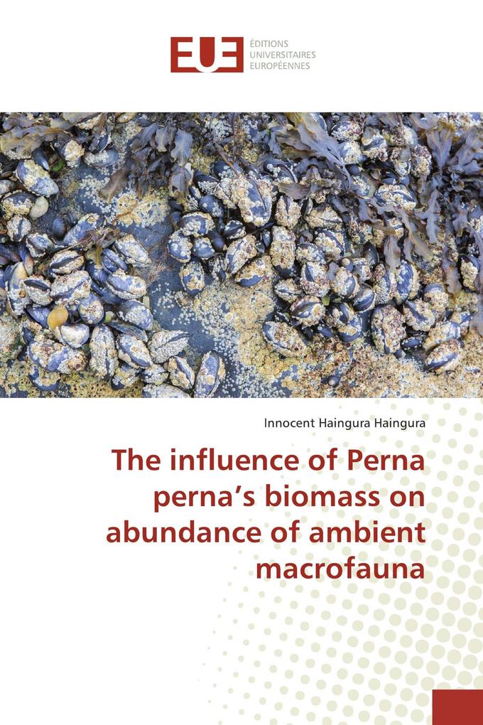 The influence of Perna perna's biomass on abundance of ambient macrofauna