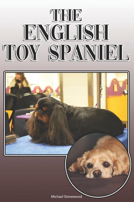 The English Toy Spaniel: A Complete and Comprehensive Owners Guide To: Buying Owning Health Grooming Training Obedience Understanding and