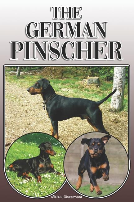 The German Pinscher: A Complete and Comprehensive Owners Guide To: Buying Owning Health Grooming Training Obedience Understanding and