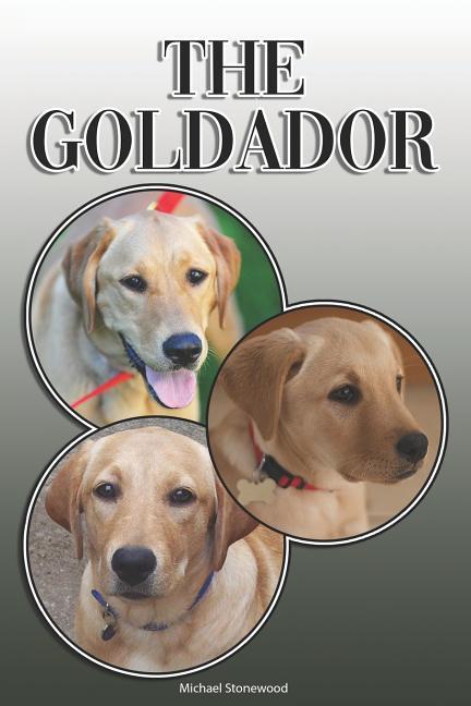 The Goldador: A Complete and Comprehensive Owners Guide To: Buying Owning Health Grooming Training Obedience Understanding and