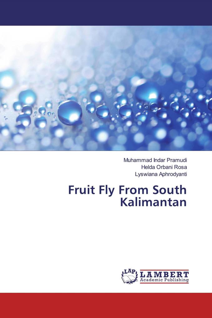 Fruit Fly From South Kalimantan