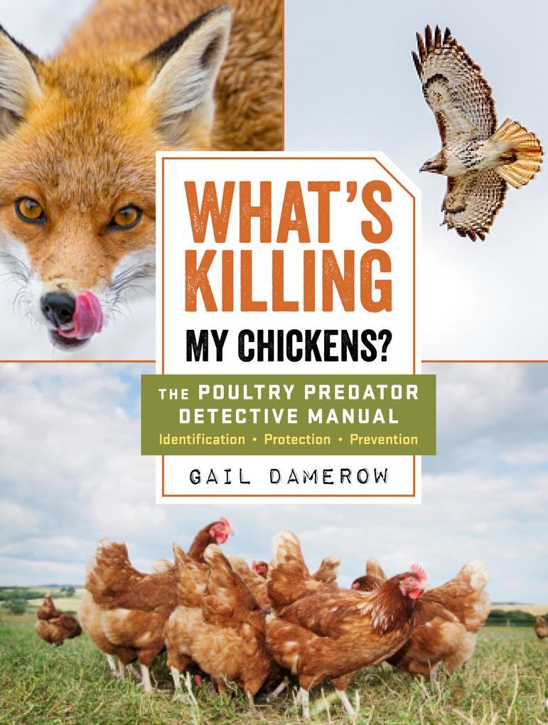 What‘s Killing My Chickens?