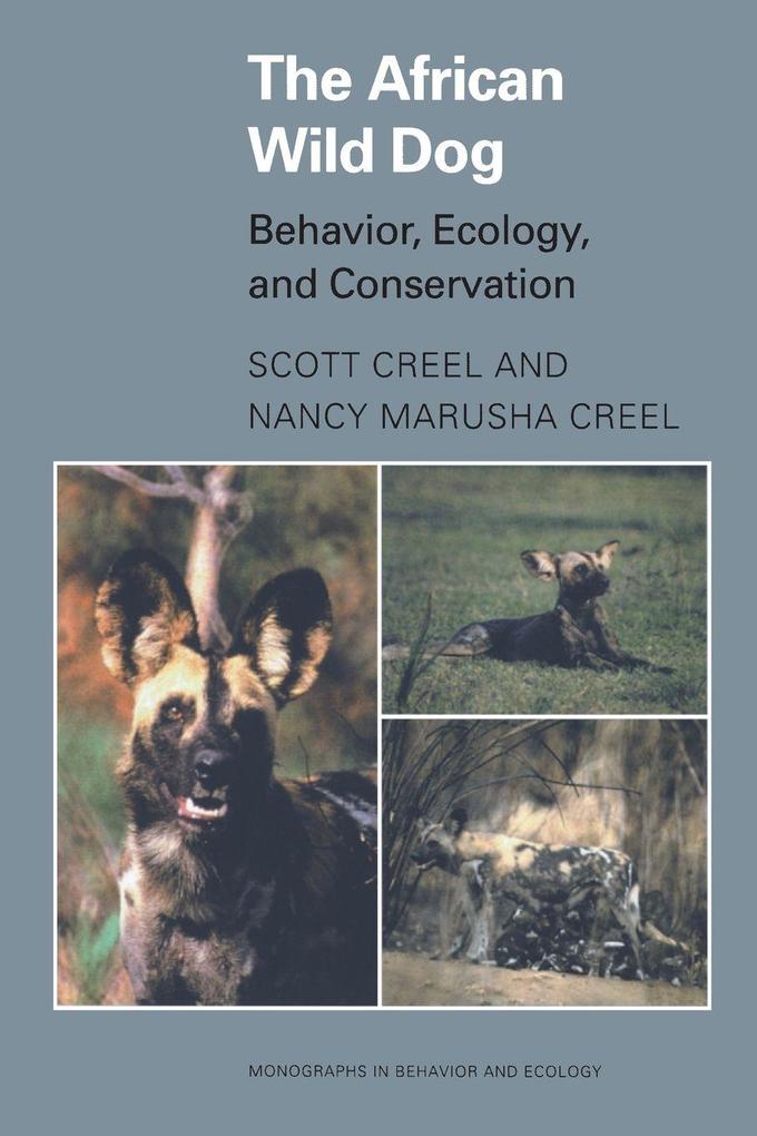 The African Wild Dog