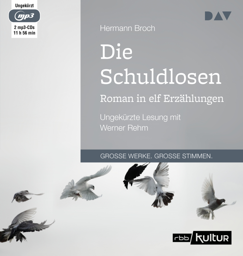 Die Schuldlosen. Roman in elf Erzählungen 2 Audio-CD 2 MP3