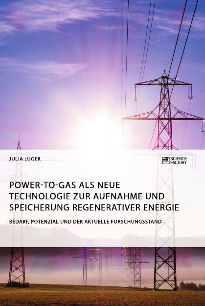 Power-to-Gas als neue Technologie zur Aufnahme und Speicherung regenerativer Energie. Bedarf Potenzial und der aktuelle Forschungsstand
