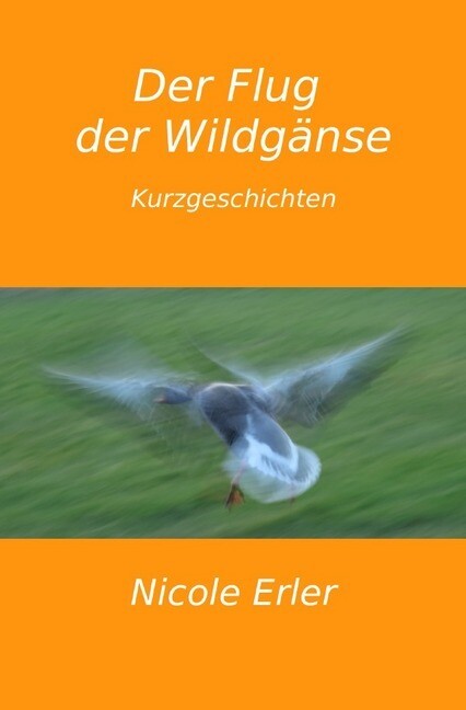 Image of Der Flug der Wildgänse