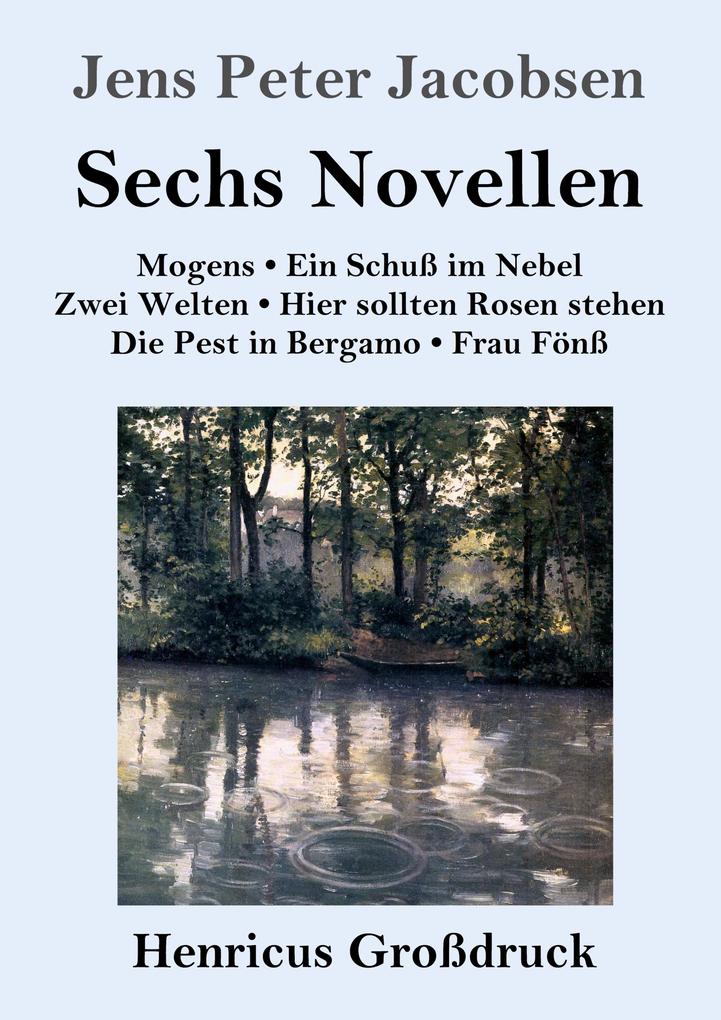 Image of Sechs Novellen (Großdruck)