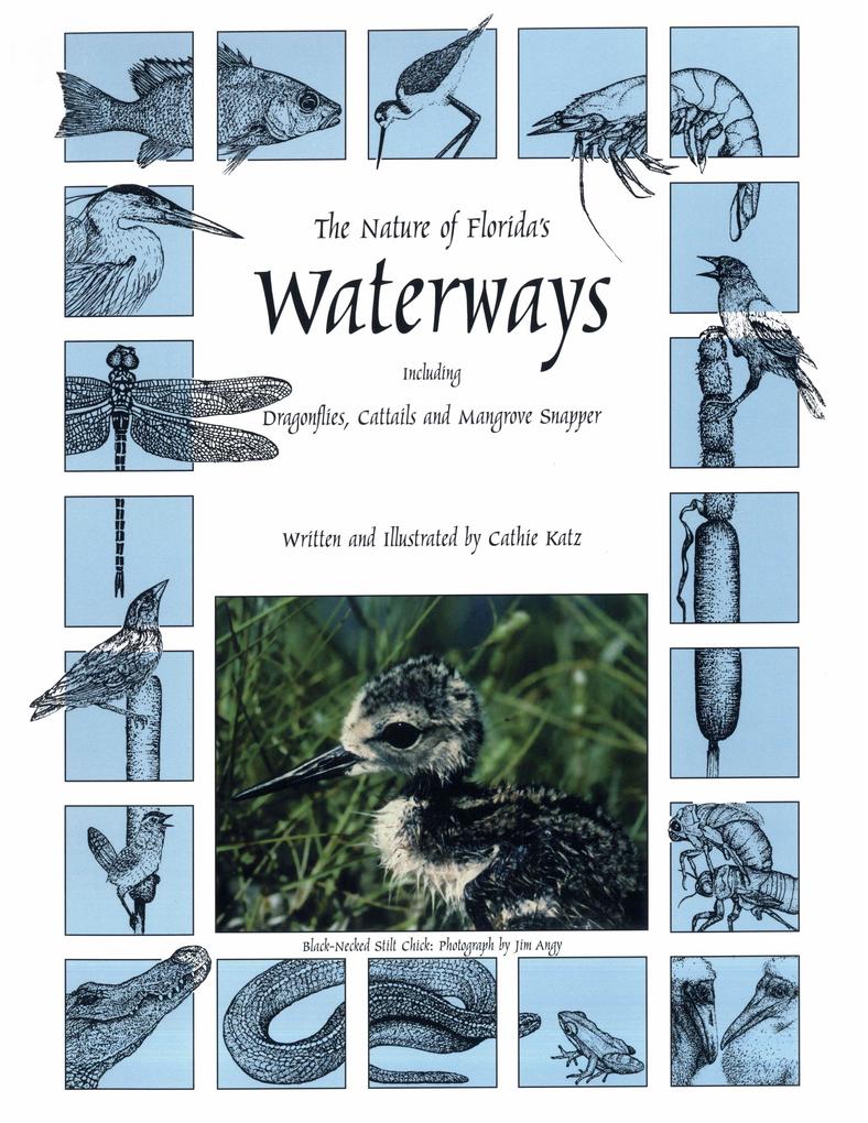 The Nature of Florida's Waterways