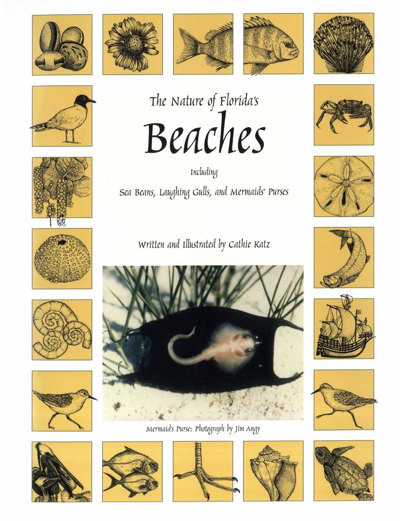 The Nature of Florida's Beaches