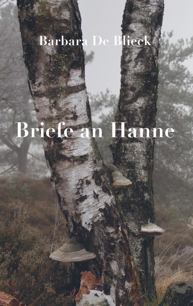 Image of Briefe an Hanne