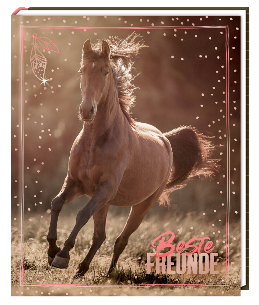 Freundebuch -  HORSES - Beste Freunde
