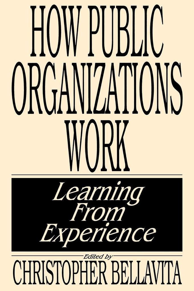 How Public Organizations Work
