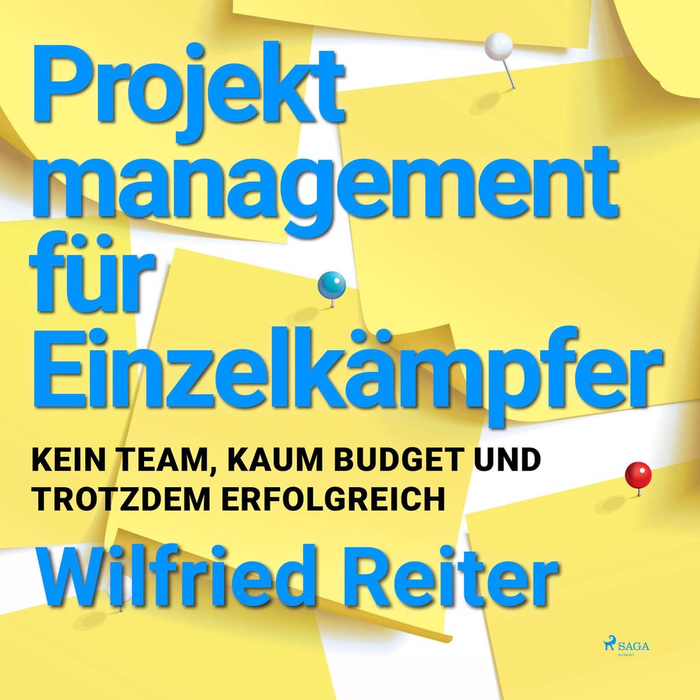 Projektmanagement für Einzelkämpfer - Kein Team kaum Budget und trotzdem erfolgreich (Ungekürzt)