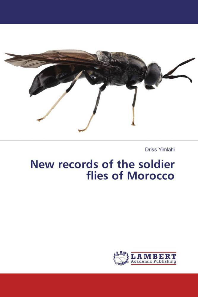 New records of the soldier flies of Morocco