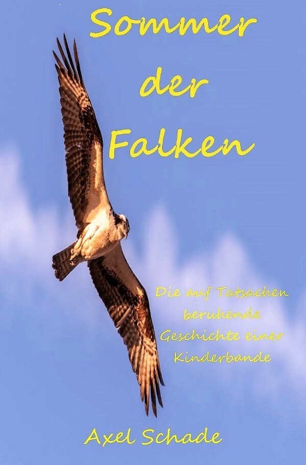 Image of Sommer der Falken